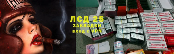 spice Лагань