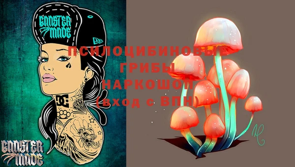 молекула духа Белокуриха